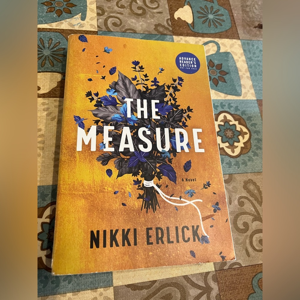 The Measure book by Nikki Erlick